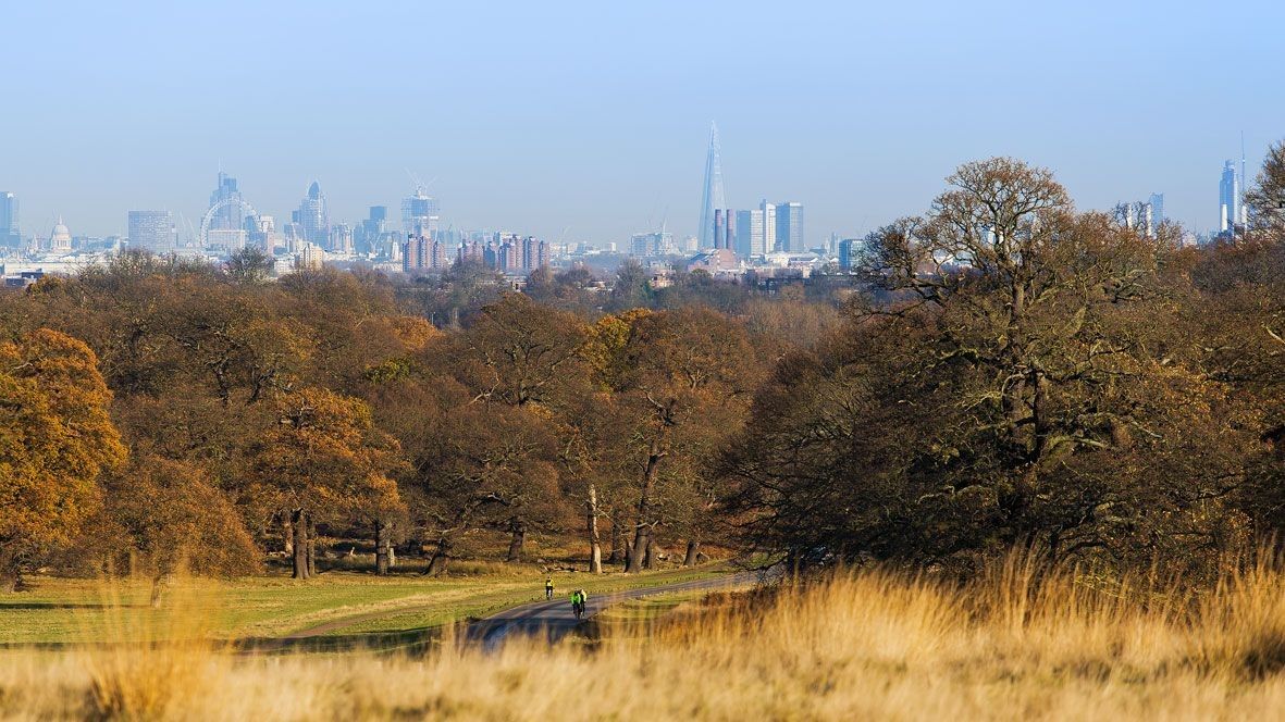 Richmond Park
